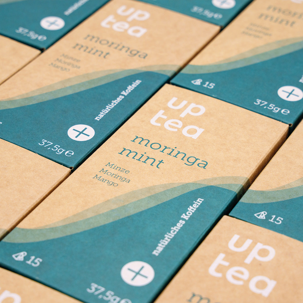 Tee-6-Pack: moringa mint
