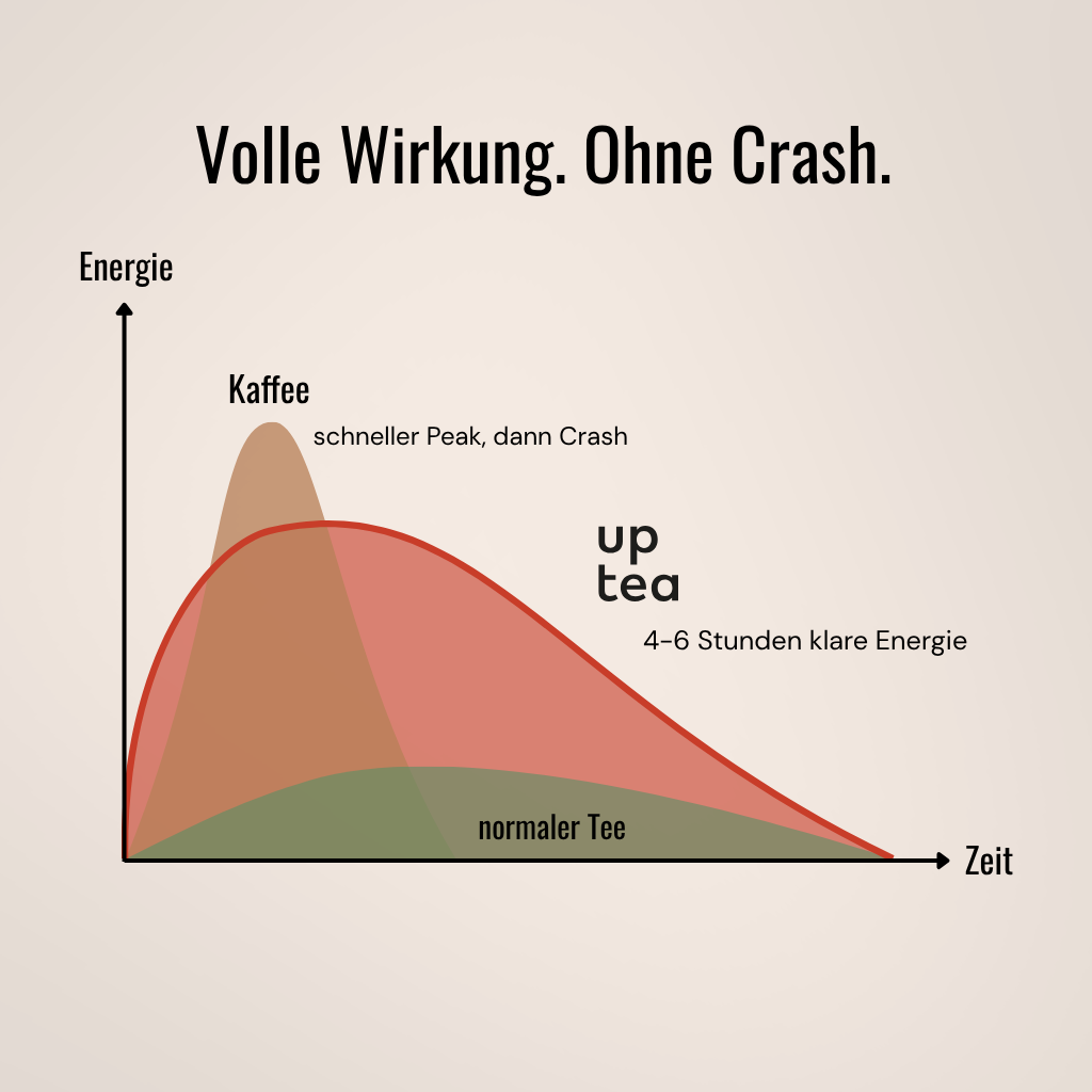 Koffeintee White Apple - Weißtee, Apfel, Zimt
