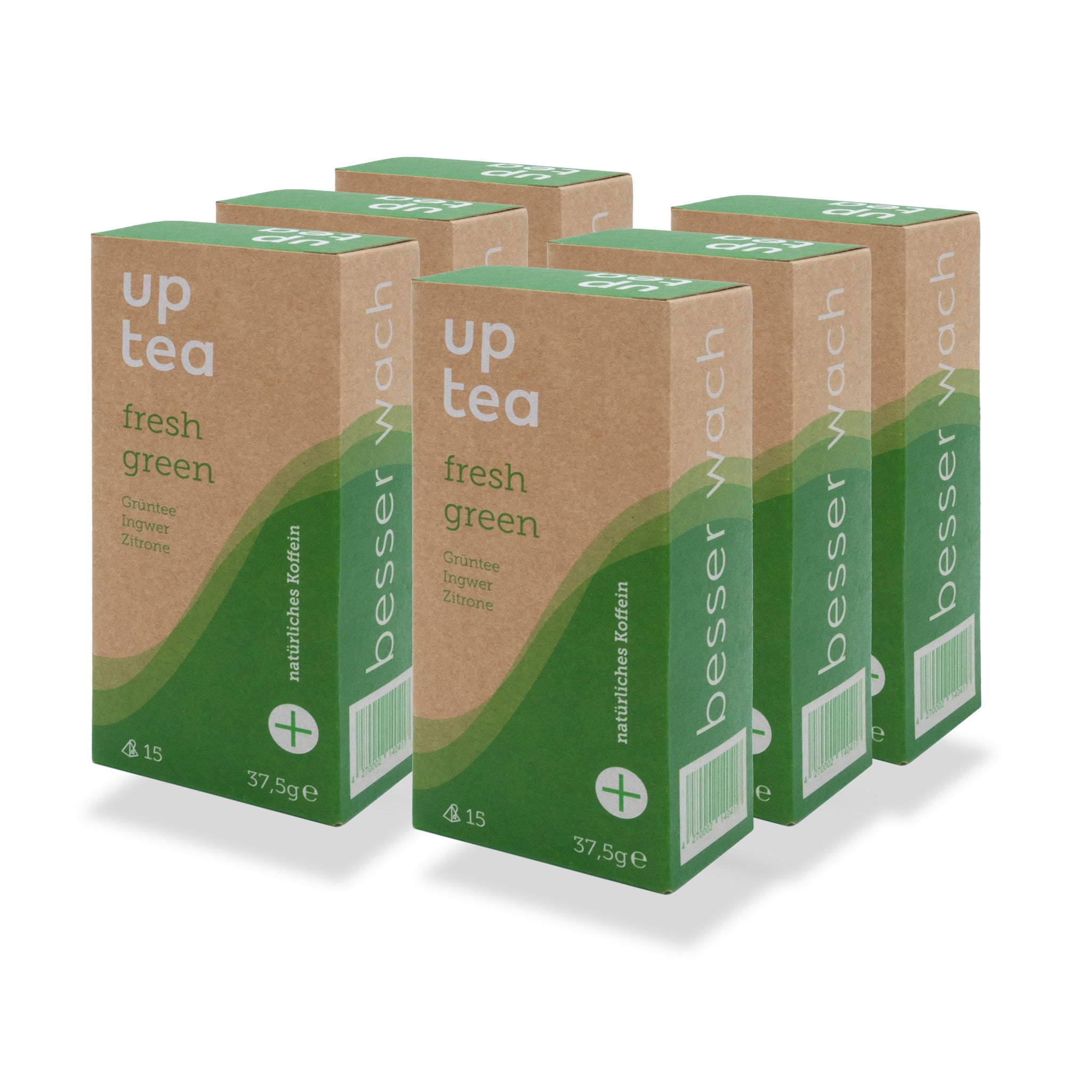 Tee-6-Pack: fresh green