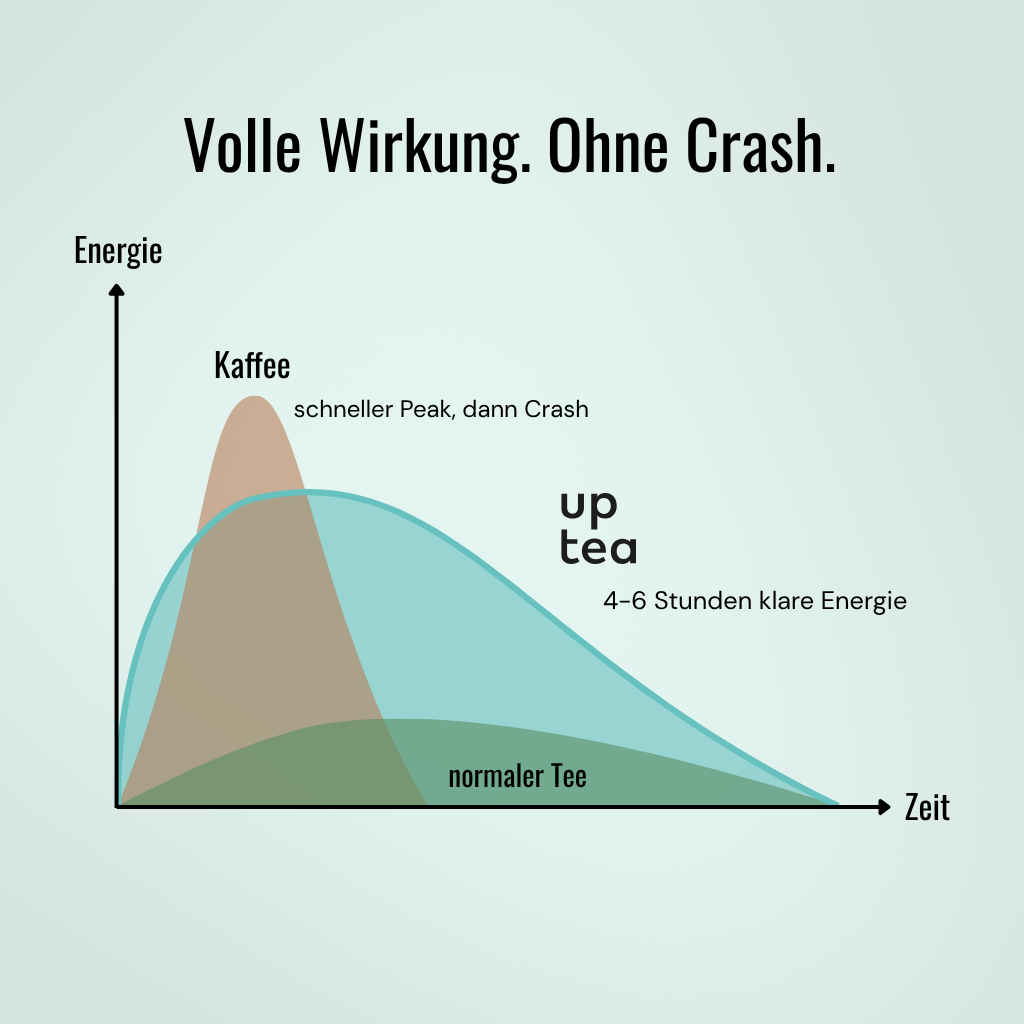 Koffeintee Double Mint - Krauseminze, Pfefferminze