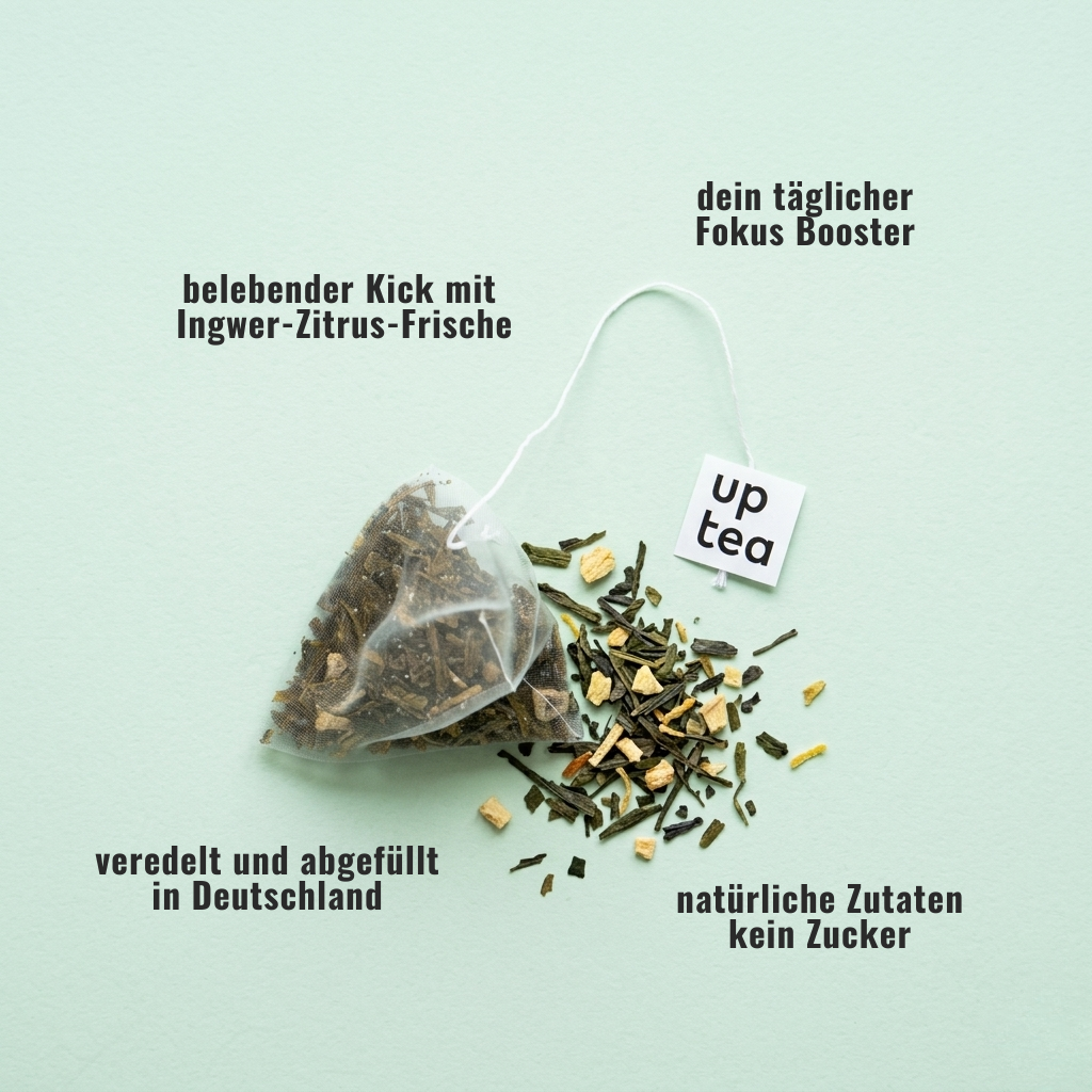 Koffeintee Fresh Green - Grüntee, Zitrone, Ingwer