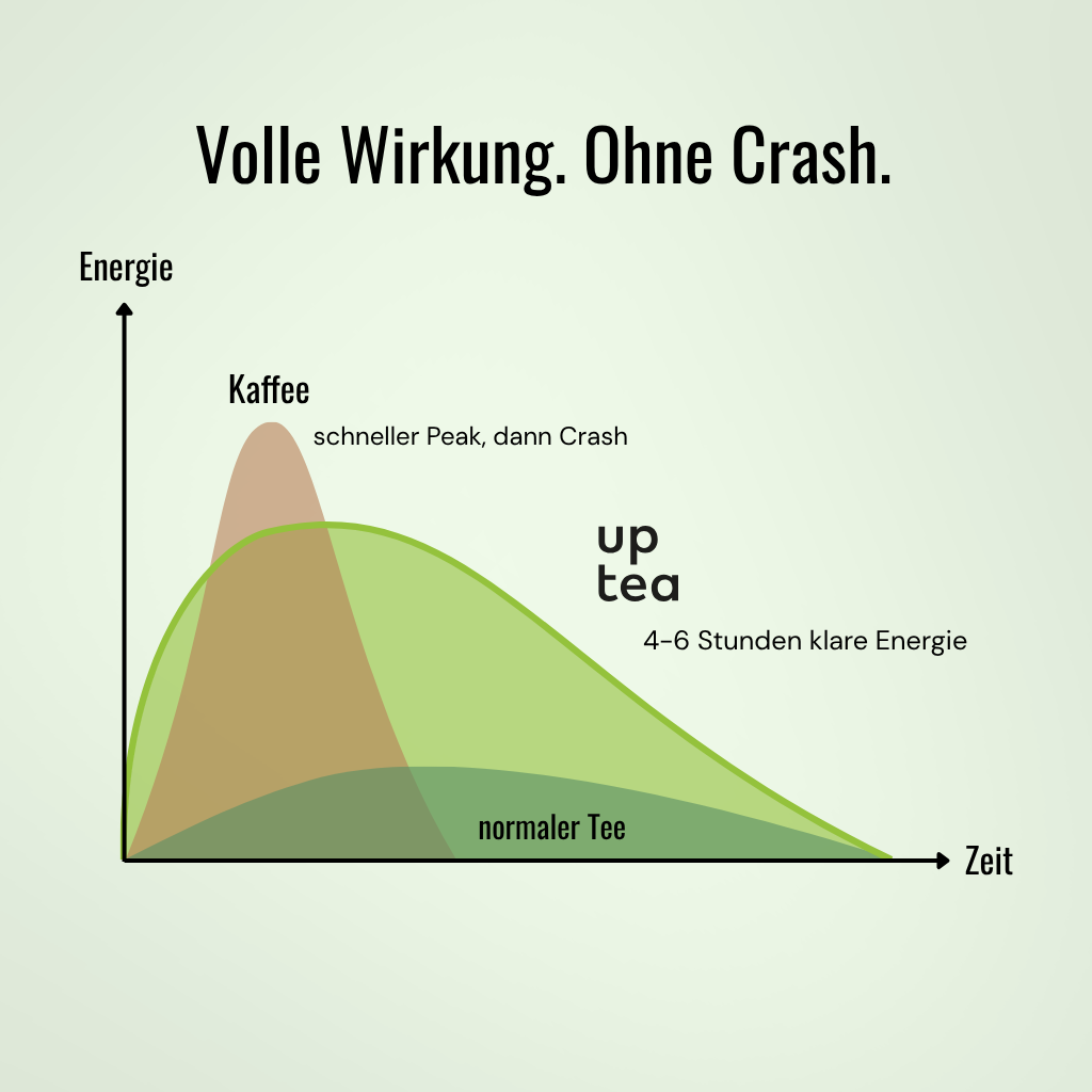 Koffeintee Fresh Green - Grüntee, Zitrone, Ingwer